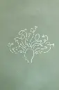 Second Brain (Template for AnyType)